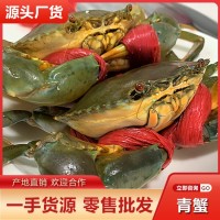 海捕青蟹公蟹母蟹膏蟹紅鱘香辣蟹海螃蟹順豐兩斤起批發(fā)包郵