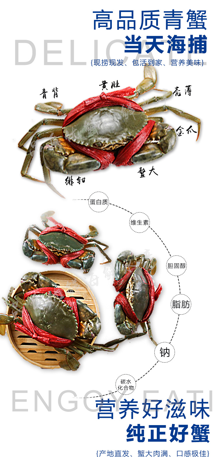 詳情圖4.jpg