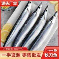 秋刀魚冷凍批發(fā) 當天海捕鮮活海產(chǎn)品燒烤串串食材大排檔酒店供貨