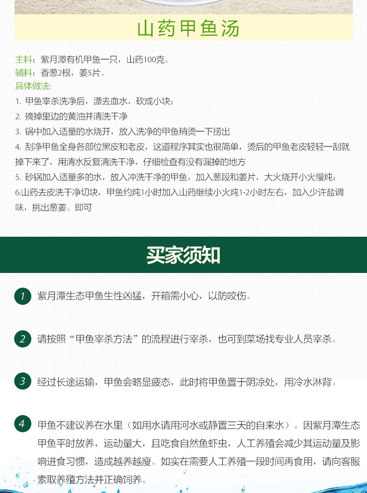 甲魚詳情