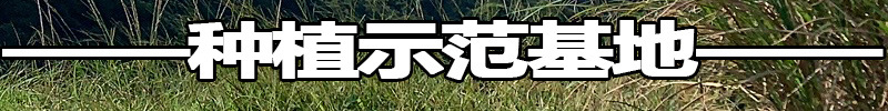 未標題-2