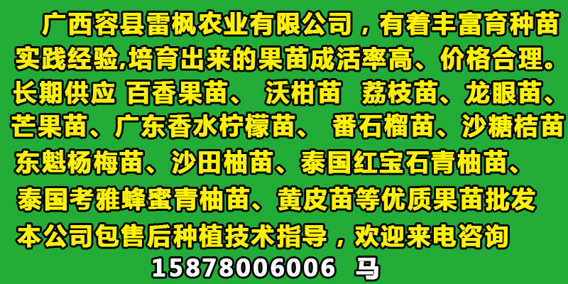 未標題-7