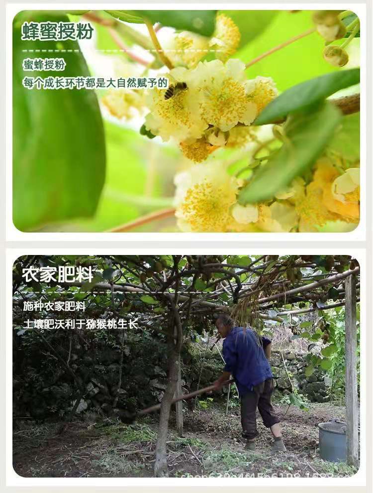 微信圖片_20210822143548.jpg