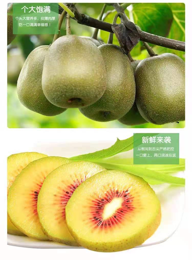 微信圖片_20210822143600
