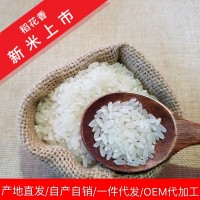 五常大米稻花香2號新米粳米東北大米批發(fā)一件代發(fā)