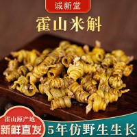 5年仿野生種植生長(zhǎng)霍山米斛人工現(xiàn)場(chǎng)采摘石斛霍山農(nóng)產(chǎn)品食用石斛