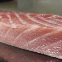 冰鮮金槍魚