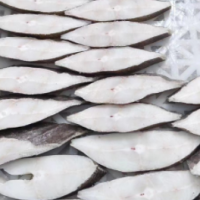 比目魚