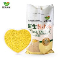東北特產(chǎn) 農(nóng)家黃小米10斤/袋 寶寶米 月子米 原生黃小米廠家批發(fā)