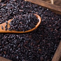 批發(fā)東北黑米1斤黑香米農家紫米黑大米粥原料五谷雜糧一件代發(fā)