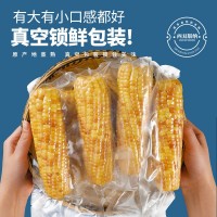 即食玉米3斤甜糯小玉米熟食免煮云南西雙版納特產(chǎn)早餐代餐批發(fā)