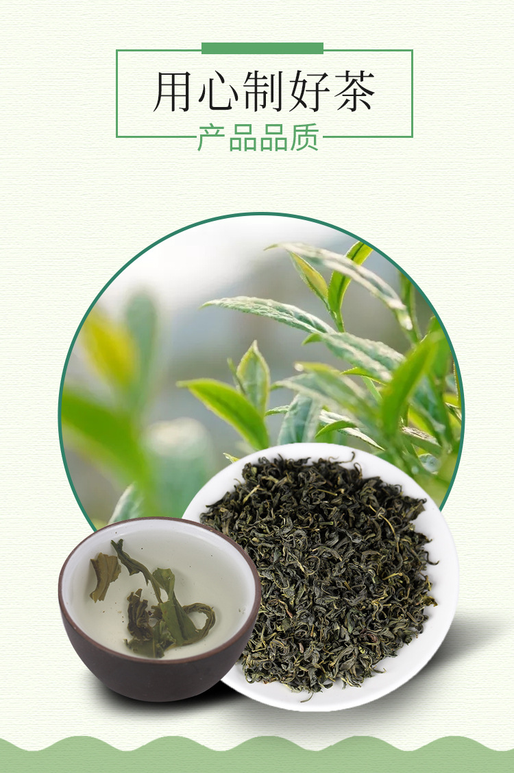 綠茶--修改_04