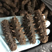 嘉島珍參 新品長島海參大火候拉缸鹽海參鹽漬刺參