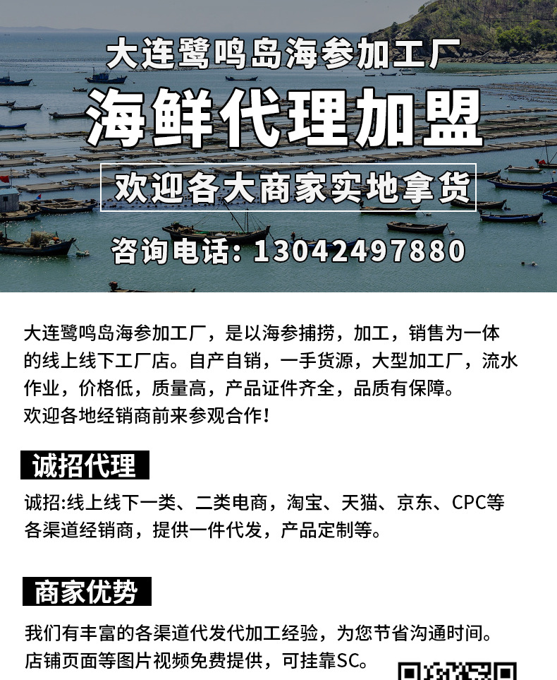 電商直供特級(jí)海參1_01.jpg