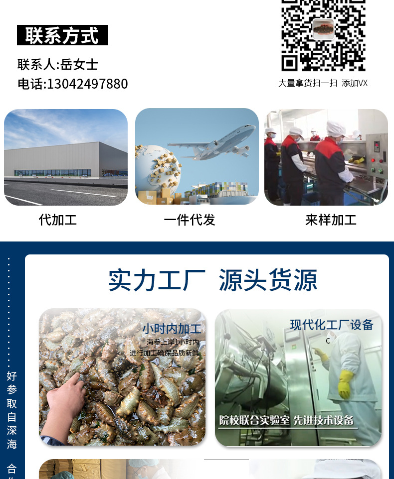 電商直供特級(jí)海參1_02.jpg