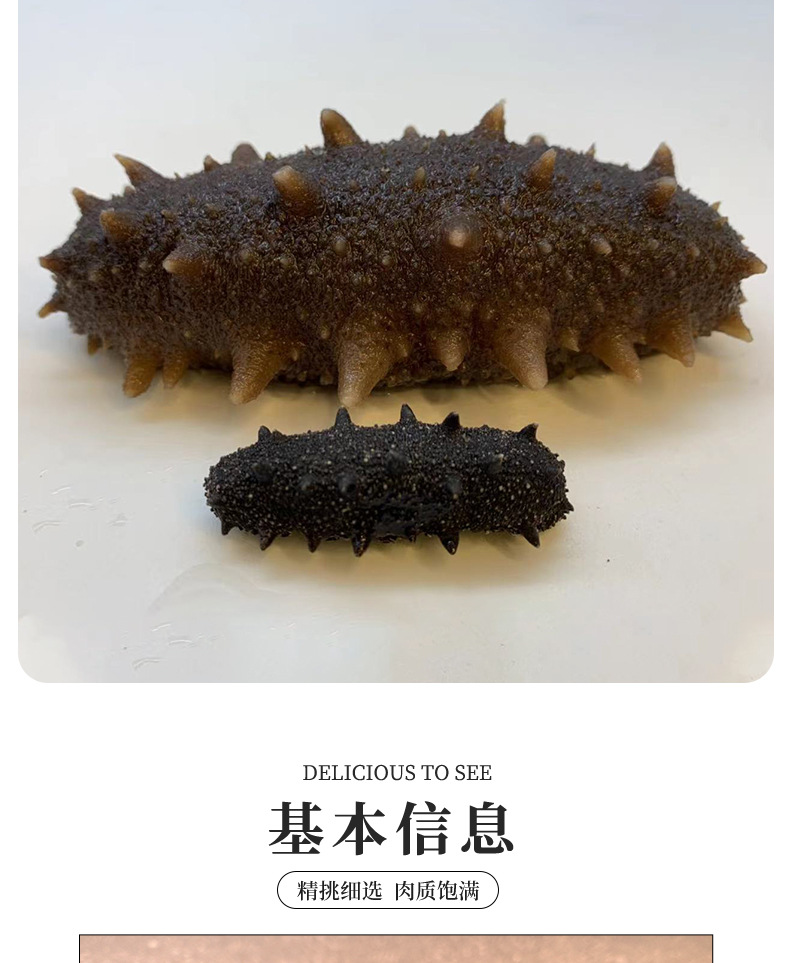 電商直供特級(jí)海參1_08.jpg