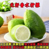 云南香水檸檬小青檸無(wú)籽青檸檬精選一級(jí)果海南新鮮水果整箱批發(fā)