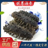 大連A級淡干海參500g廠家批發(fā)非即食海參海參干貨海參禮盒裝