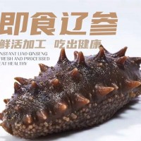 明尊8A級大連即食海參 大連鮮食刺參 工廠直營批發(fā)即食海參500g