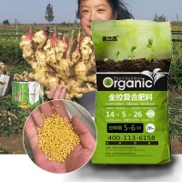 全控緩釋肥生姜底肥全水溶平衡型高鉀型控釋肥全控復(fù)合肥