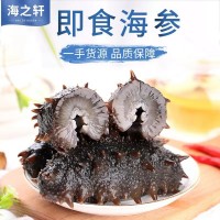 海之軒工廠大連渤海灣遼刺參即食海參批發(fā)鮮活海參禮盒非干參500g