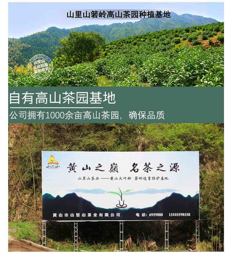毛峰禮盒詳情頁(yè)_06