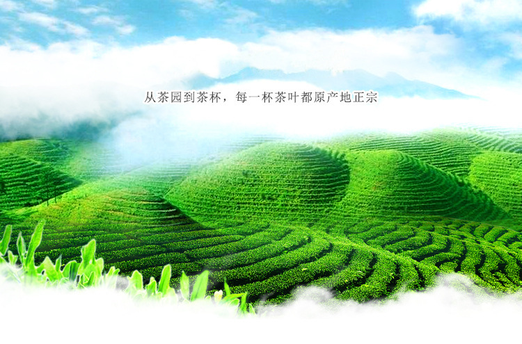 內圖1