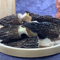貨源充沛云南特產(chǎn)個大肉厚羊肚菌干貨食用菌菇煲湯大量羊肚菌批發(fā)