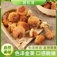 姬松茸干貨 福建古田食用菌500克散裝松茸菌 姬松茸食用菌批發(fā)