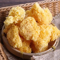 古田特產(chǎn)丑耳塊銀耳 軟糯食用菌干貨多膠雪耳金耳 散裝批發(fā)