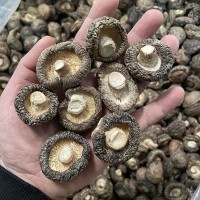 香菇干貨批發(fā) 光面菇金錢菇 冬菇古田特產(chǎn)干香菇篩選好3-4cm