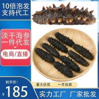 遼參批發(fā)一斤泡發(fā)10斤純淡干遼參大連海參干貨工廠直供