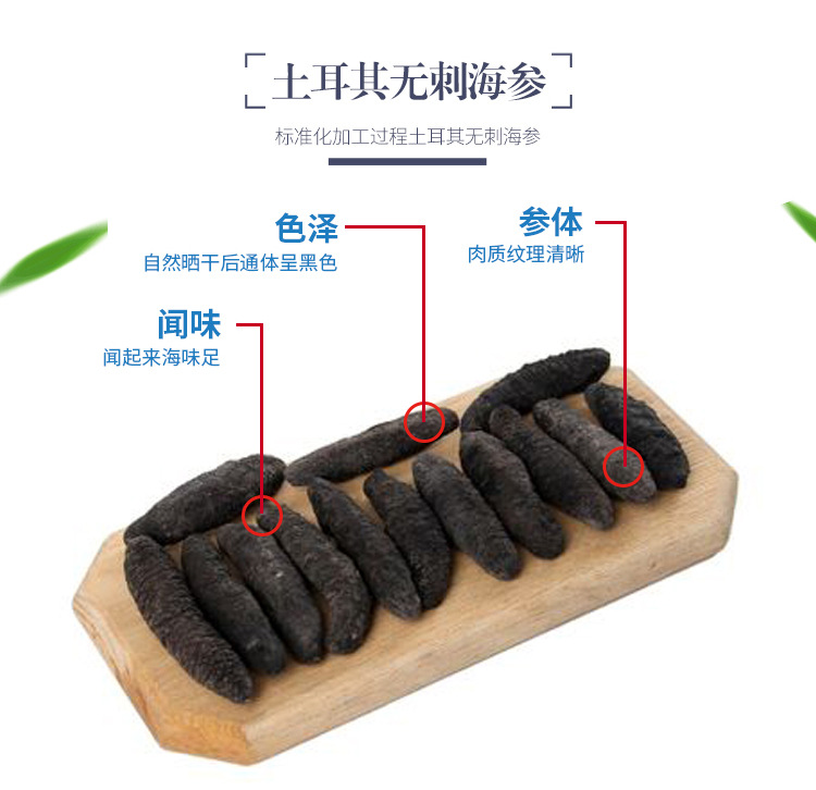 土耳其無刺海參_03