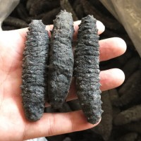 【順豐】海味海參禮盒裝土耳其進口黑刺參 根根6排刺干貨批發(fā)海參