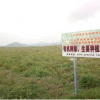 廠家直供 云南丘北有機(jī)辣椒干散裝批發(fā)代加工出口貿(mào)易