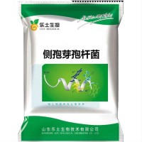 側(cè)孢短芽孢桿菌 100億/g 全水溶 生物防治菌腐熟有機(jī)肥微生物菌劑
