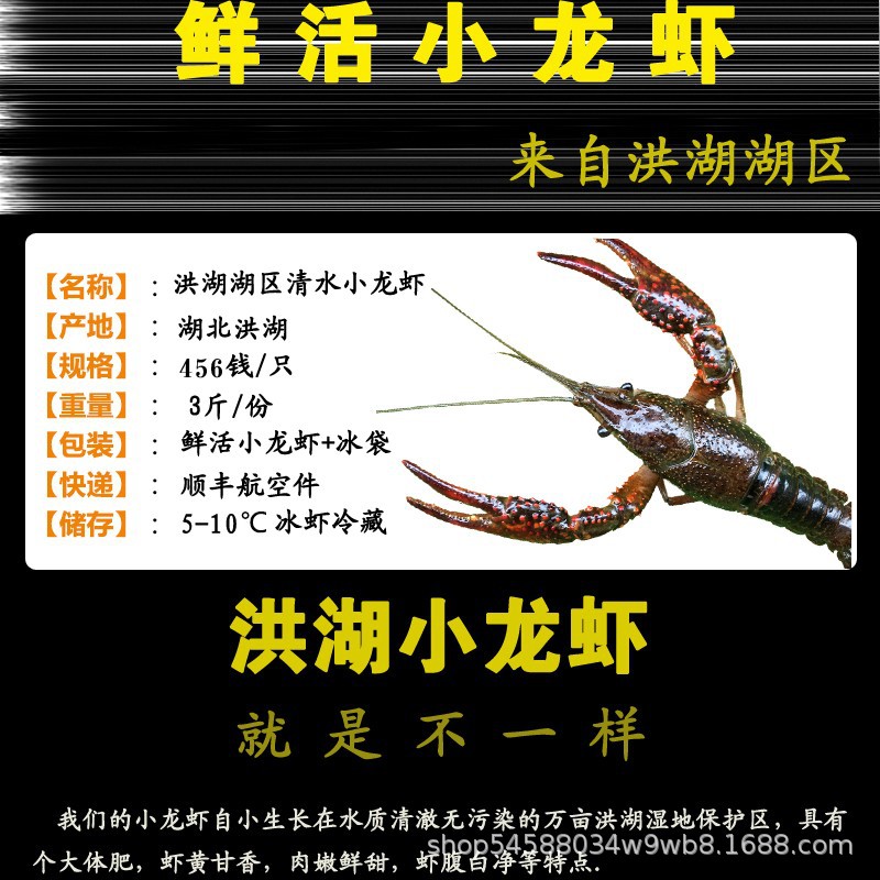 4.jpg