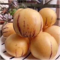 現(xiàn)貨云南石林人參果中小圓果新鮮現(xiàn)摘現(xiàn)發(fā)香甜多汁新鮮水果人生果