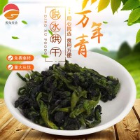 脫水蔬菜脫水萬年青菜心萬年青菜干青菜干