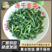 脫水蔬菜干凍干韭菜FD韭菜真空冷凍干燥韭菜干廠家直供