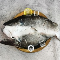 新鮮開背清江魚活魚冷凍商用烤魚半成品鮮活腌制整條700g-1100g