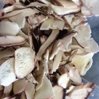 魷魚足，F(xiàn)D魷魚足，凍干魷魚足，冷凍干燥產(chǎn)品，凍干食品