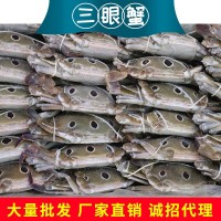 現(xiàn)貨批發(fā)梭子蟹三眼蟹水產(chǎn)海鮮新鮮船凍產(chǎn)地直發(fā)速凍梭子蟹大螃蟹