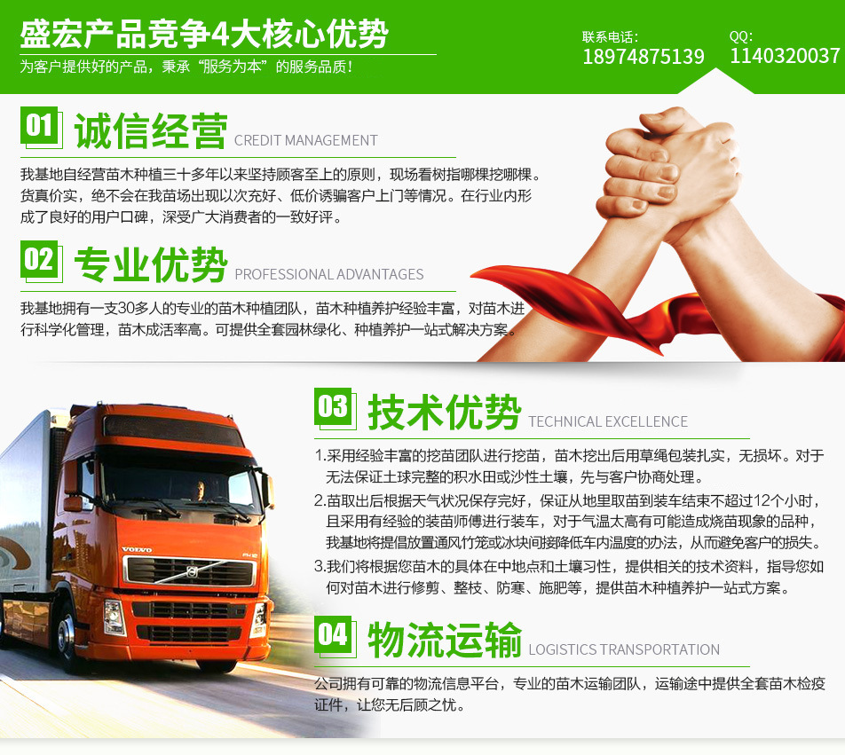 公司介紹.jpg