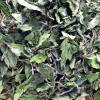 2022年春茶新茶福鼎白茶磻溪高山日曬壽眉貢眉散茶茶葉源產(chǎn)地批發(fā)
