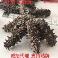 俄羅斯海參深海淡干俄紅參六排刺參關東參遼參孕婦滋補品干貨批發(fā)