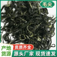 2023新春茶毛尖綠茶 原產(chǎn)地批發(fā)茶葉實體店供應(yīng)早春茶青