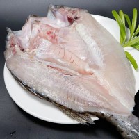 海鱸魚開背新鮮活冷凍深海魚清蒸去內(nèi)臟紙包魚烤魚半成品商用