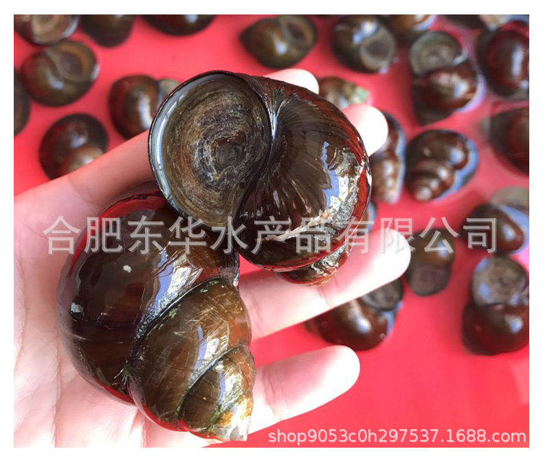 詳情頁8.jpg