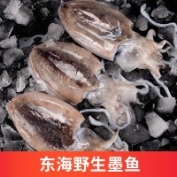 東海大號墨魚新鮮冷凍目魚八爪魚鮮活烏賊章魚冰鮮海鮮批發(fā)一件代